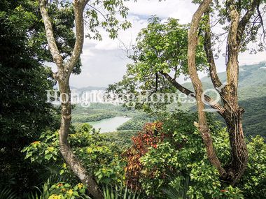 View from Private Garden