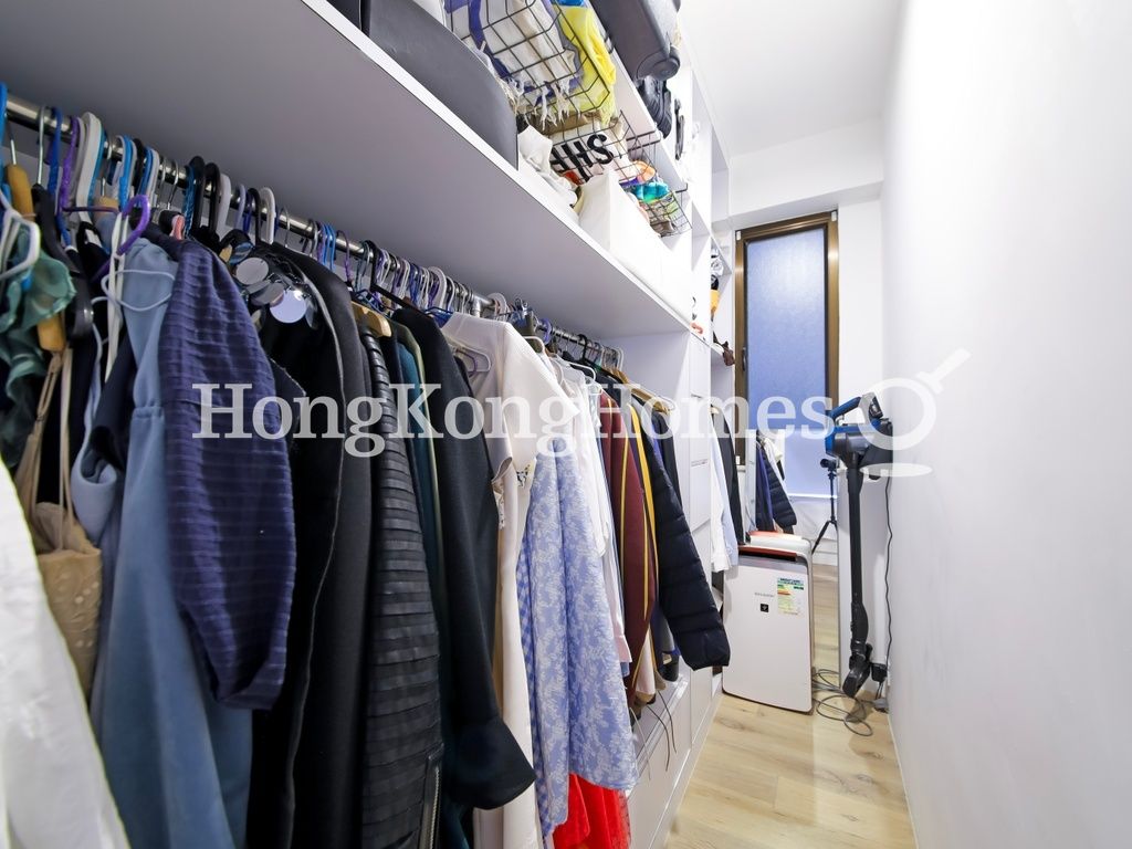 Walk-in Closet in Master Bedroom