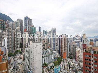 View from Living and Dining Room