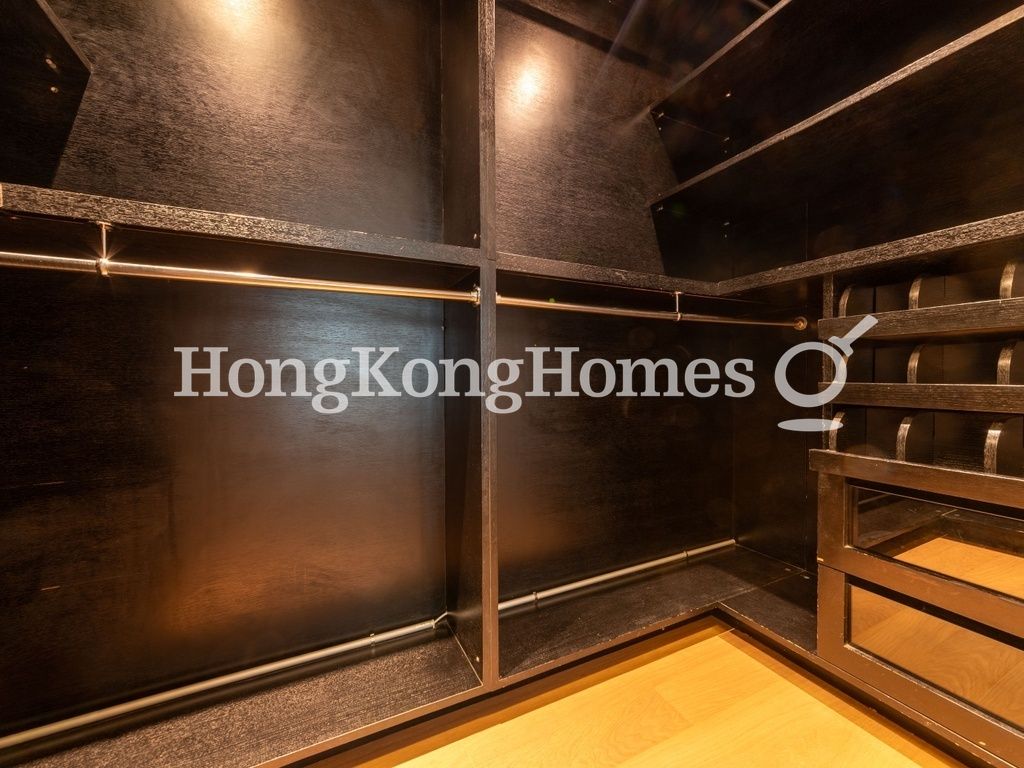 Walk-in Closet in Master Bedroom