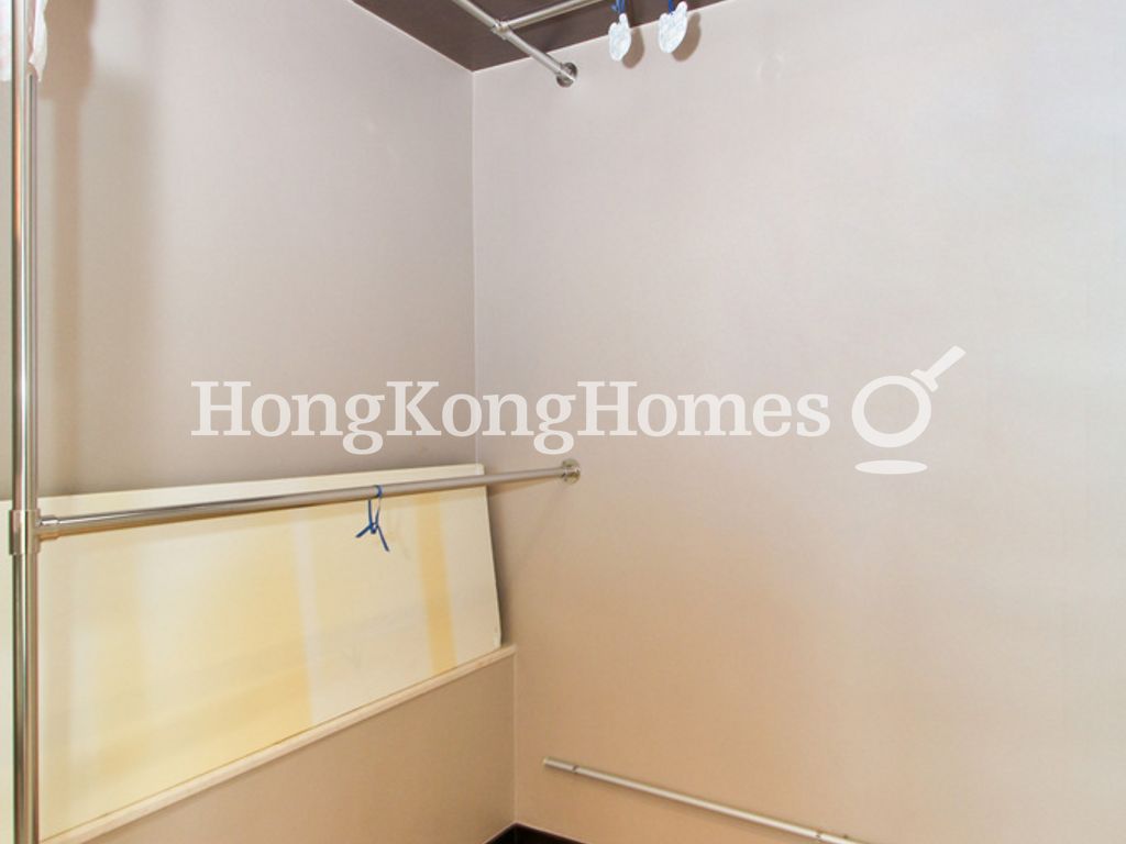 Walk-in Closet in Master Bedroom