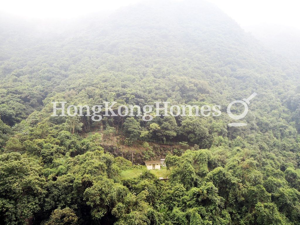 View from Dining Area