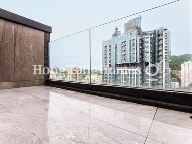 Roof Terrace on Top Level