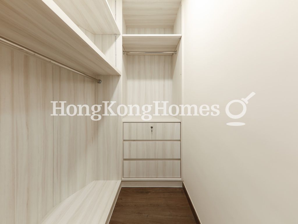 Walk-in Closet in Master Bedroom
