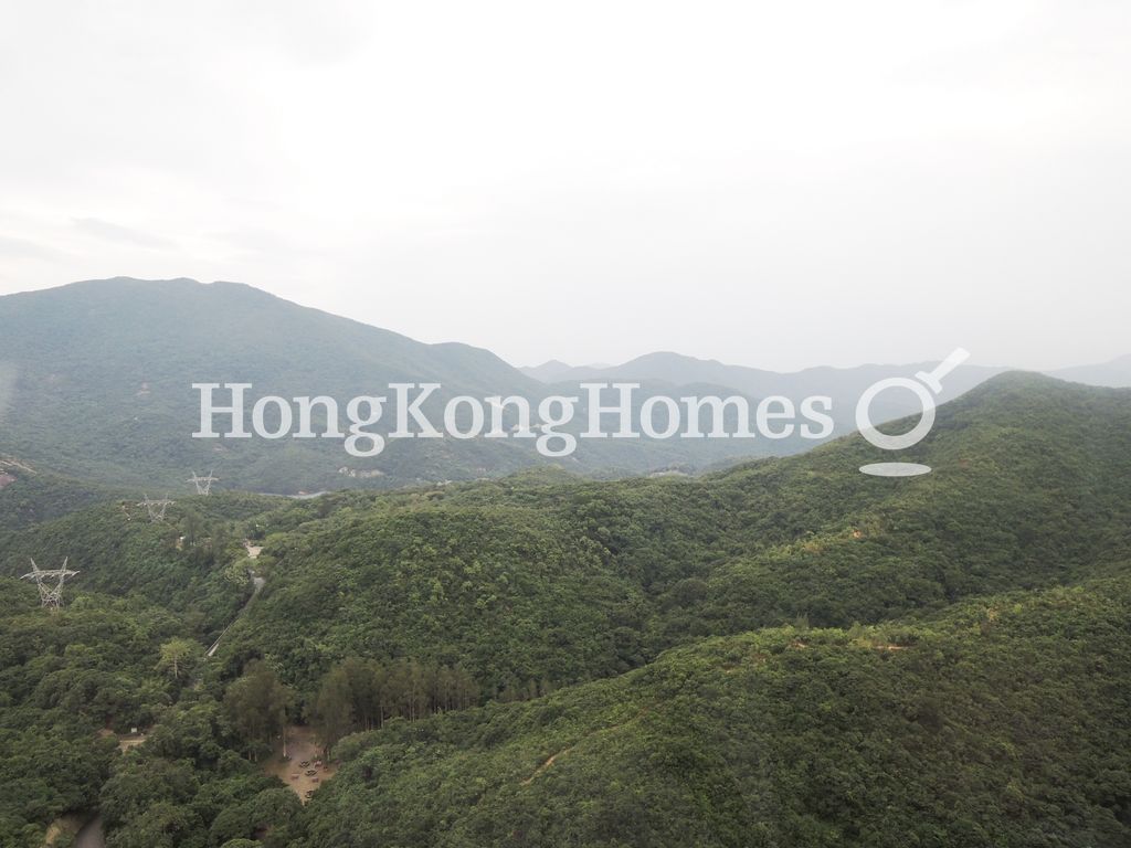 View from Living & Dining Rm