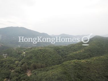 View from Living & Dining Rm