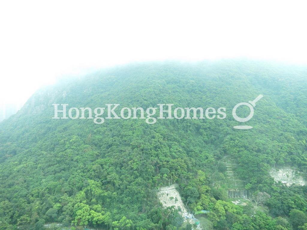 View from Living & Dining Room