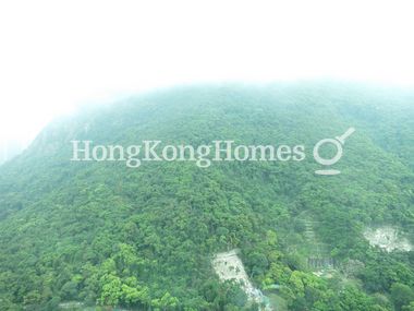 View from Living & Dining Room