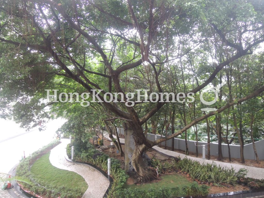 View from Living & Dining Room