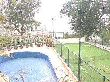 View from Living & Dining Room