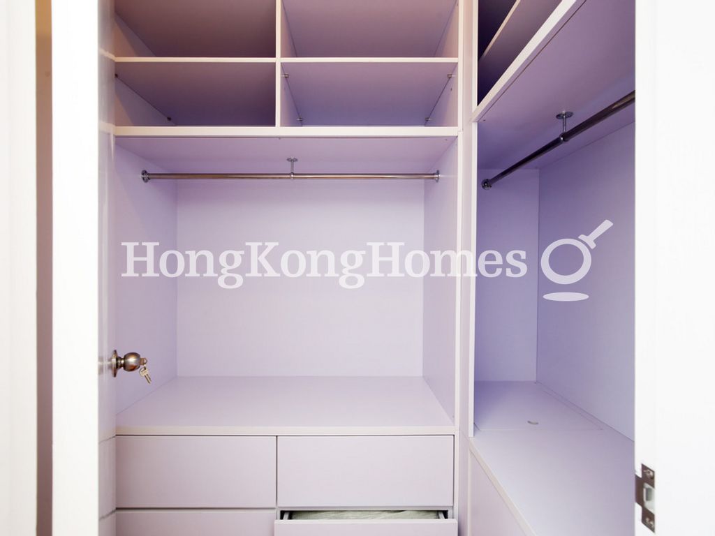 Walk-in Closet in Master Bedroom