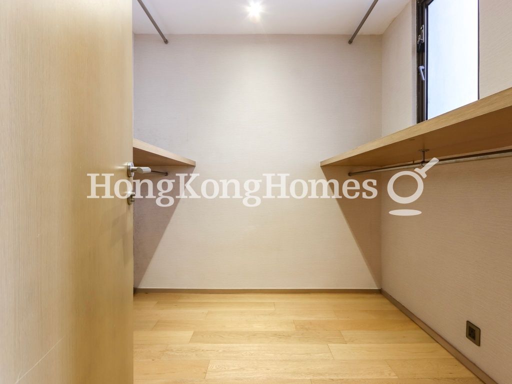 Walk-in Closet in Master Bedroom