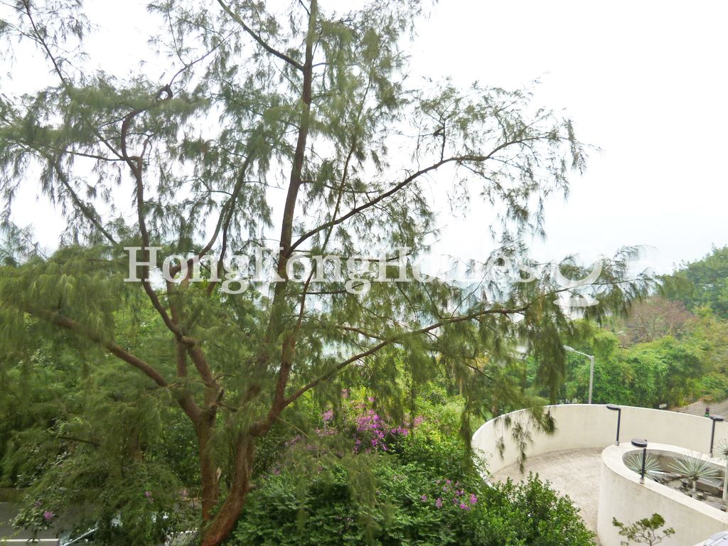 View from Living Room