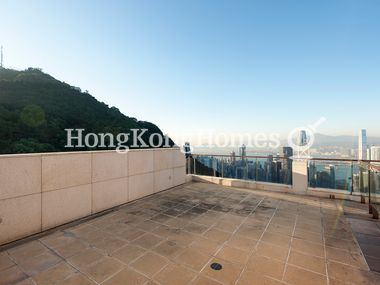 Private Roof Terrace
