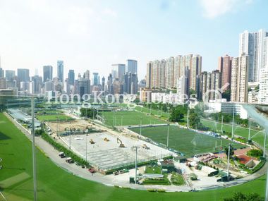 View from Living Room