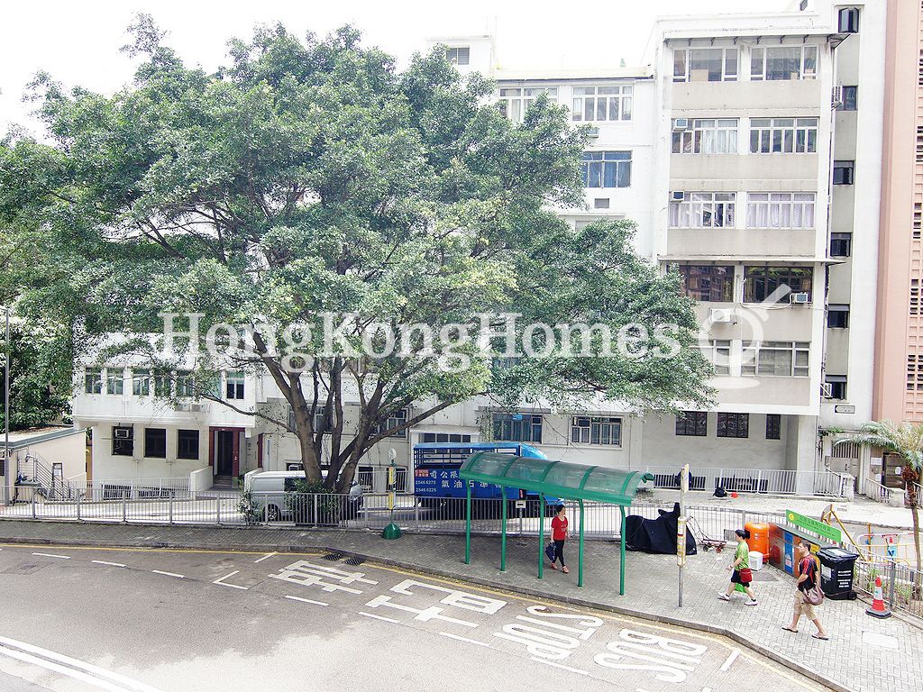 View from Kitchen Terrace